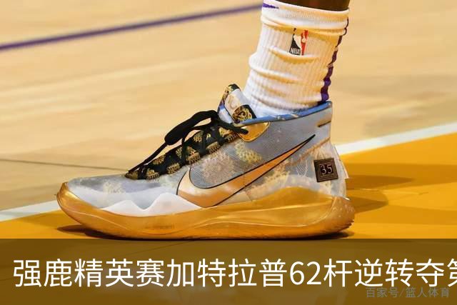 强鹿精英赛加特拉普62杆逆转夺第四冠 窦泽成T21
