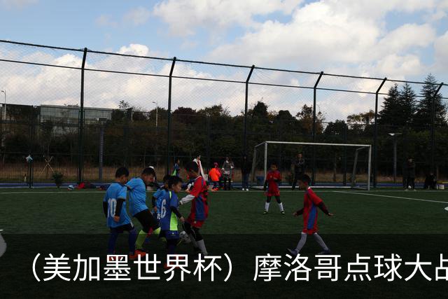 （美加墨世界杯）摩洛哥点球大战胜荷兰 惊险晋级16强
